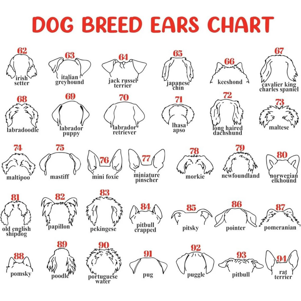 Dog Memorial Frame with Collar Holder