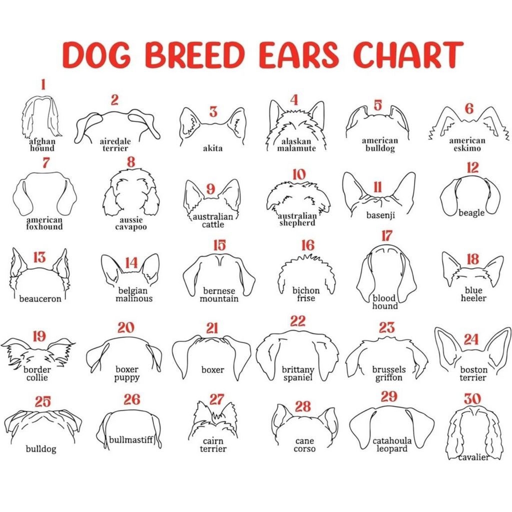 Dog Memorial Frame with Collar Holder